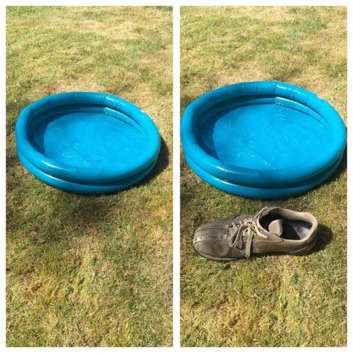 You Won’t Always Receive What You Wanted (27 pics)