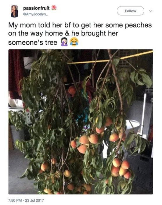 You Won’t Always Receive What You Wanted (27 pics)