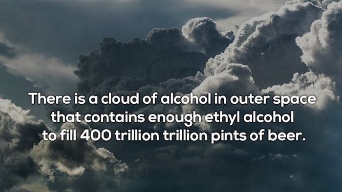 Facts About Booze (10 pics)