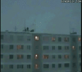 Acid Gifdump, December 08, 2017 (25 gifs)