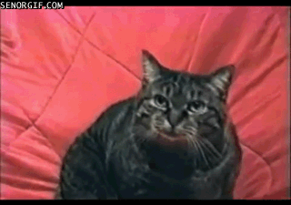 Acid Gifdump, December 08, 2017 (25 gifs)