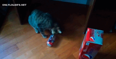 Acid Gifdump, December 08, 2017 (25 gifs)