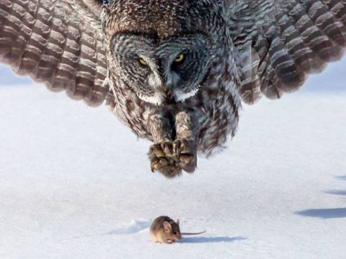 Perfectly Timed Photos (43 pics)