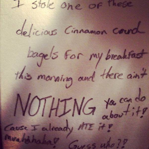 Awful Roommates (29 pics)