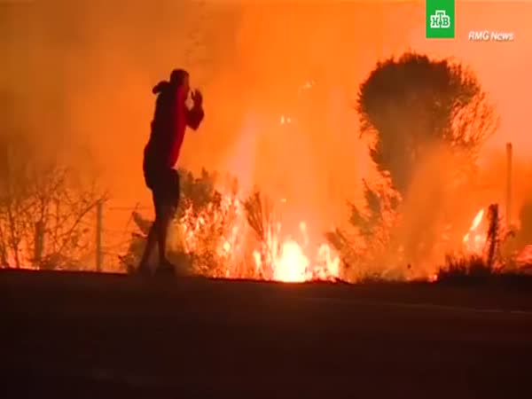 Man Saves Bunny From California Fire