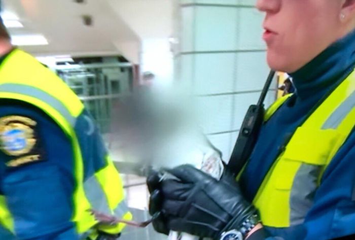 Swedish Television Channel Decided To Protect The Identity Of A Seagull That Was Saved From The Subway (3 pics)
