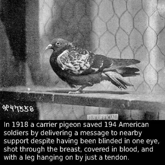 Facts That Come From The Past (42 pics)