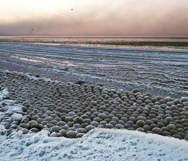 Ice Balls On The Coast Of The Gulf Of Finland (5 pics)