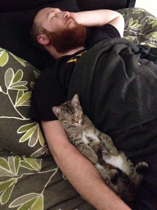 Pets Who Stole Their Owner’s Partners (28 pics)