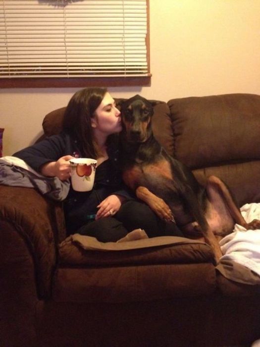 Pets Who Stole Their Owner’s Partners (28 pics)