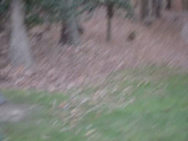 Kids Hiding in Leaf Pile Scare Dad With Leaf Blower