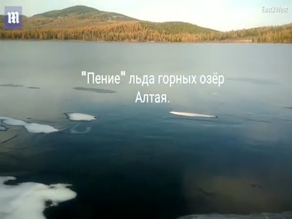 Woman Records 'Alien' Sounds From Siberian Lake