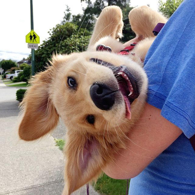 Photos To Remind You That Life Is Beautiful (30 pics)