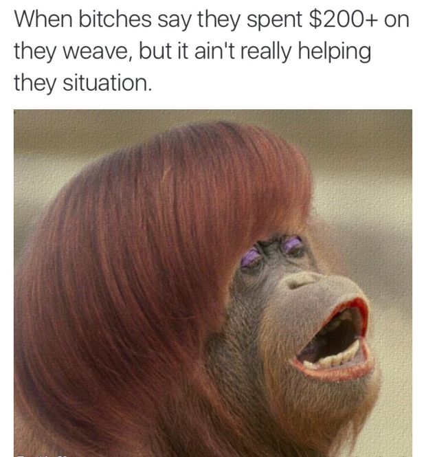 Memes (32 pics)