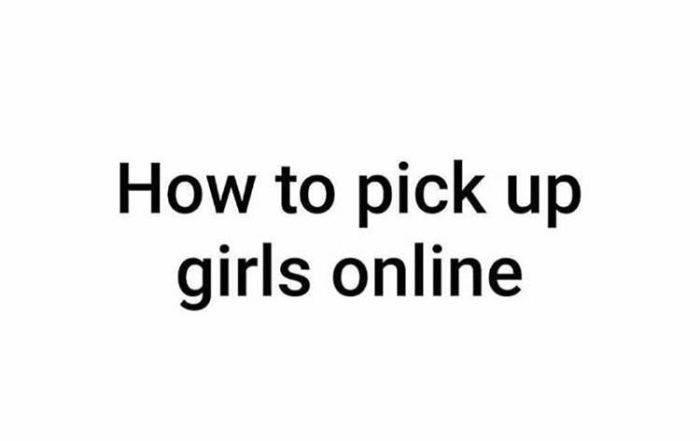 The Ultimate Guide To Picking Up Girls Online (8 pics)