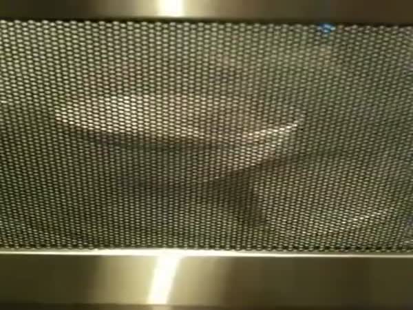 This Is Why You Shouldn't Microwave Hard-Boiled Eggs