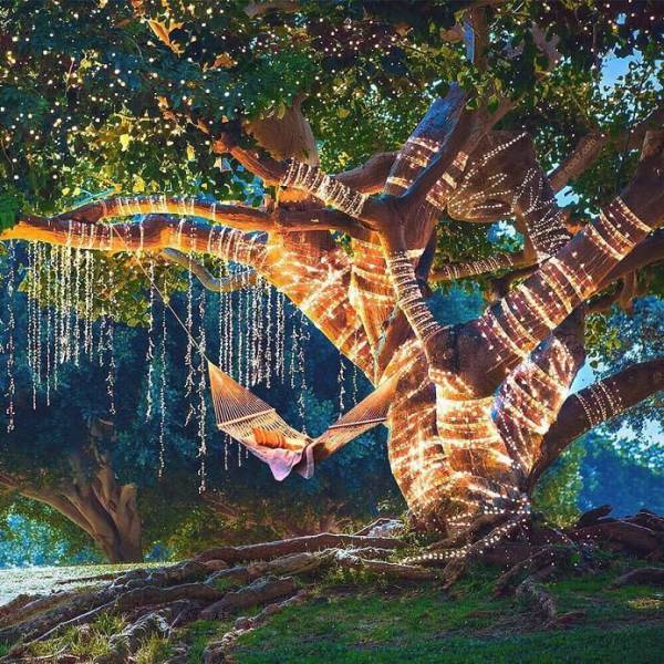 Acid Picdump (93 pics)