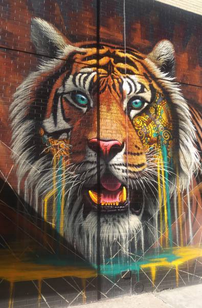 Acid Picdump (93 pics)