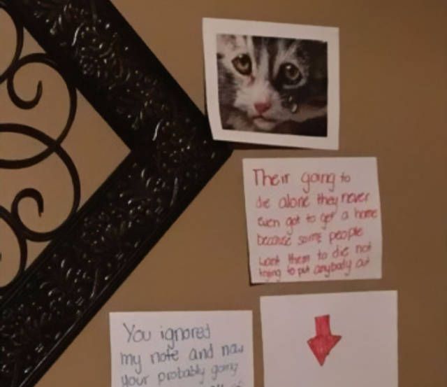 Daughter Finds A Very Creative Way To Get A Cat From Her Father (8 pics)