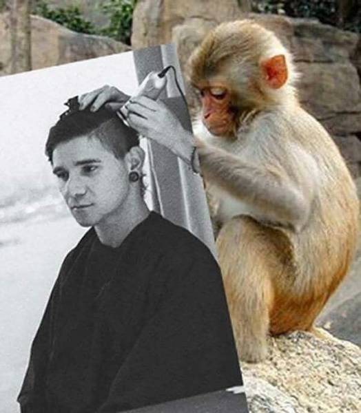 Good Examples Of Bad Photoshops (34 pics)