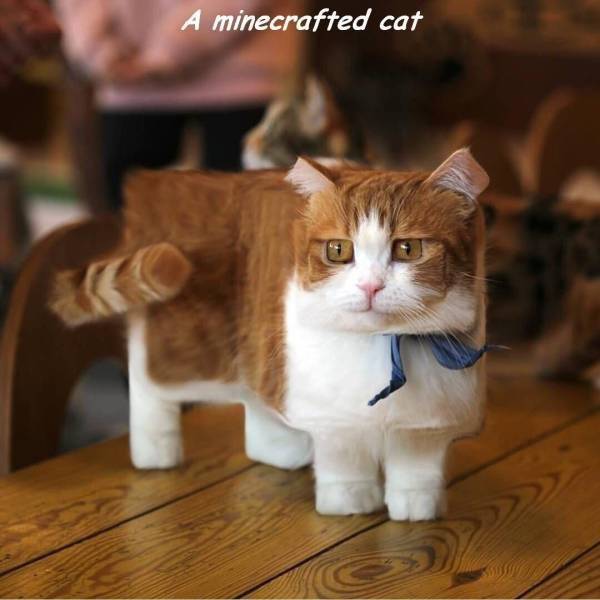 Good Examples Of Bad Photoshops (34 pics)