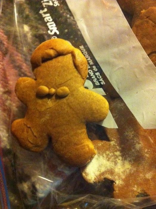 Funny Gingerbreads (24 pics)