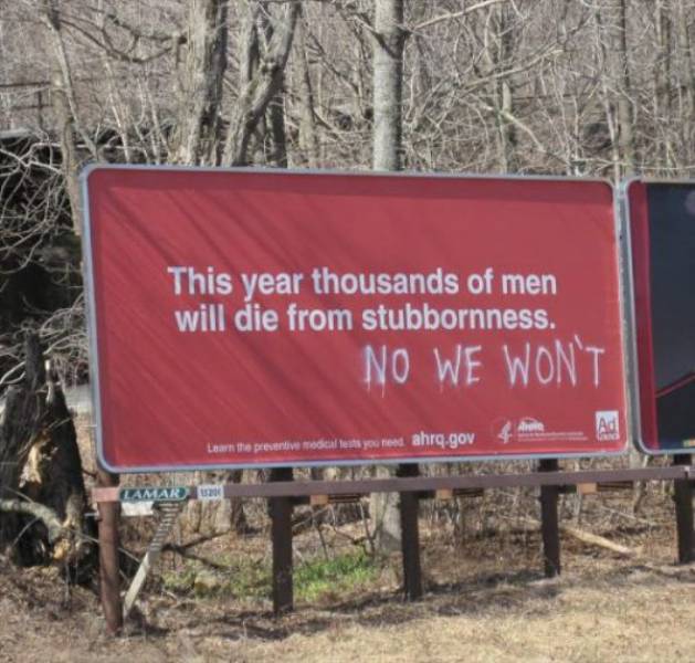 Nothing Will Ever Stop Them From Being Stubborn (23 pics)