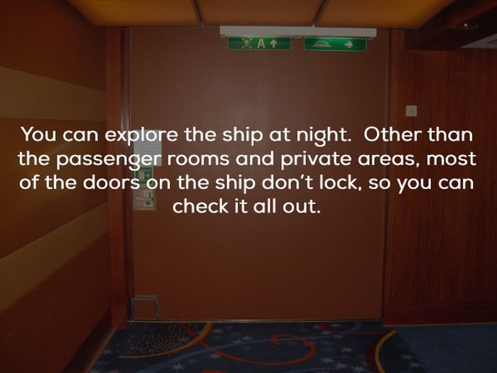 Facts About Cruise Ships (24 pics)