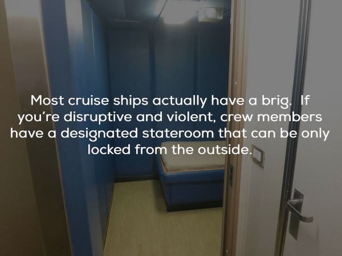 Facts About Cruise Ships (24 pics)