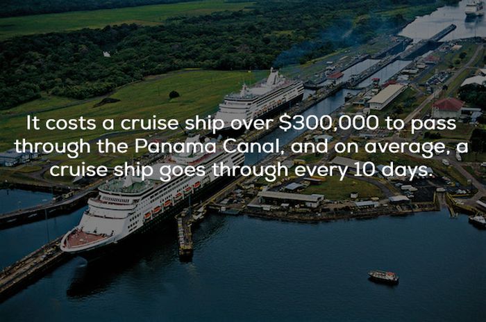 Facts About Cruise Ships (24 pics)