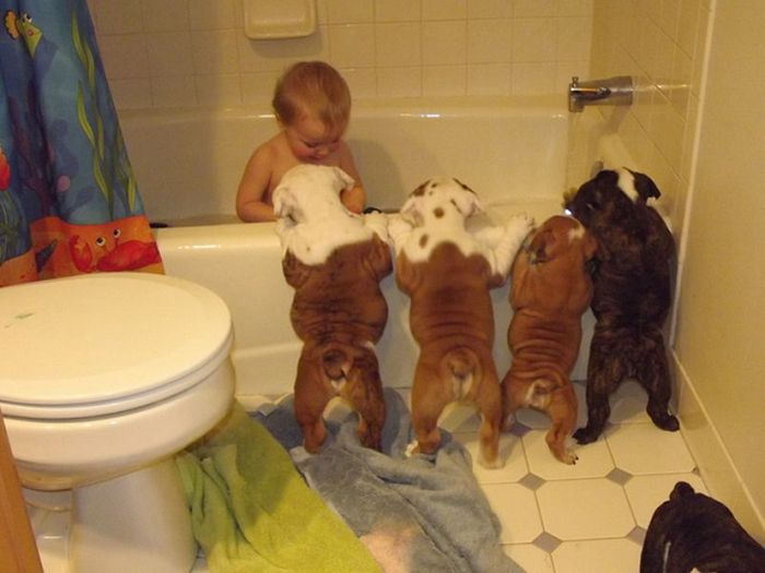 Dogs And Kids (22 pics)