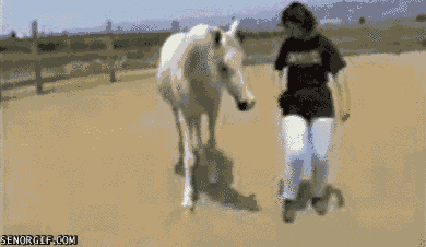 Acid Gifdump, December 21, 2017 (25 gifs)