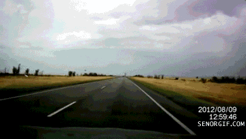 Acid Gifdump, December 21, 2017 (25 gifs)