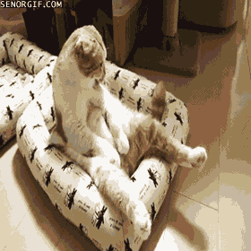 Acid Gifdump, December 21, 2017 (25 gifs)