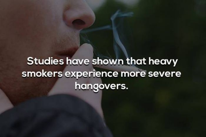 Hangover Facts (14 pics)