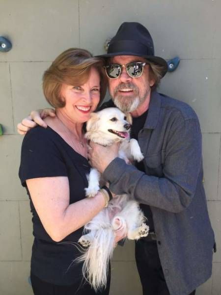 Mark Hamill Proves That Hollywood Romances Can Be Long Lasting As Well (13 pics)