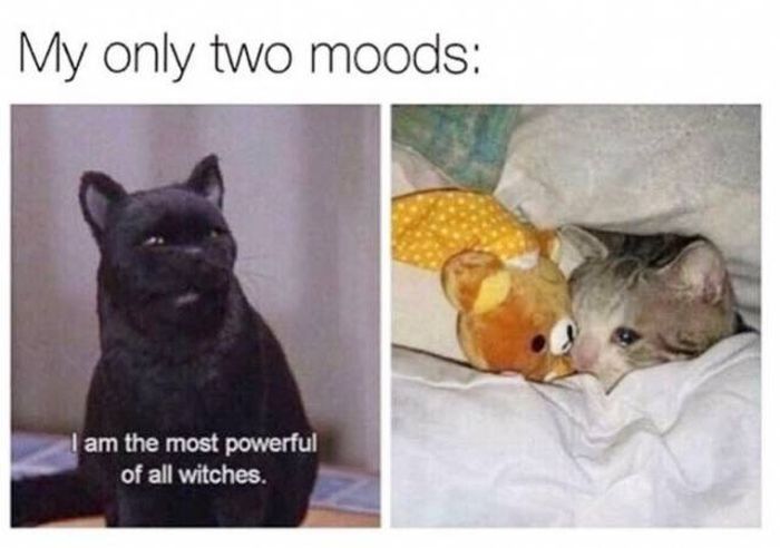 Memes (49 pics)
