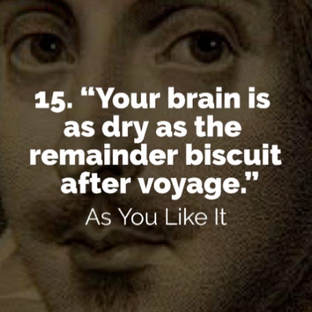 Funny Insults from Shakespeare (15 pics)