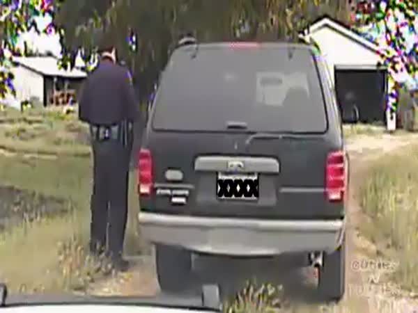 Cat Climbs Up Cop During Pull-Over