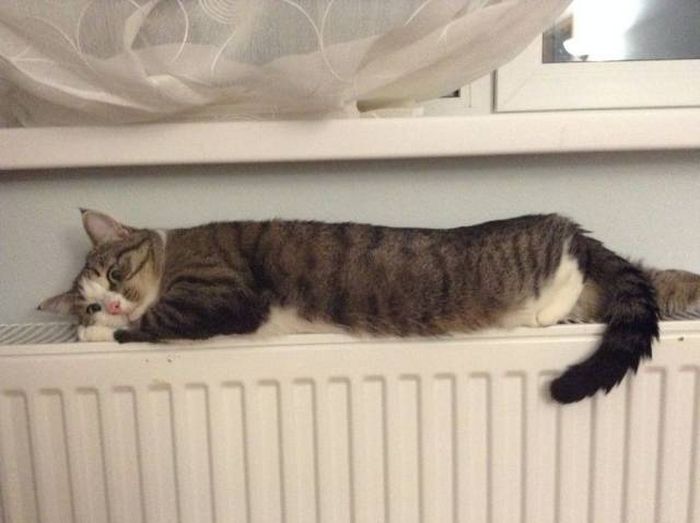 Acid Picdump (90 pics)