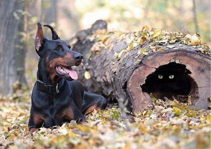Acid Picdump (90 pics)