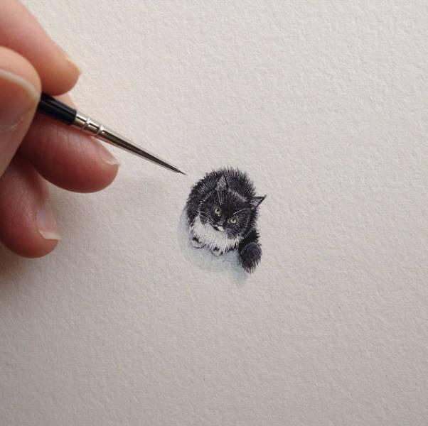 Acid Picdump (90 pics)
