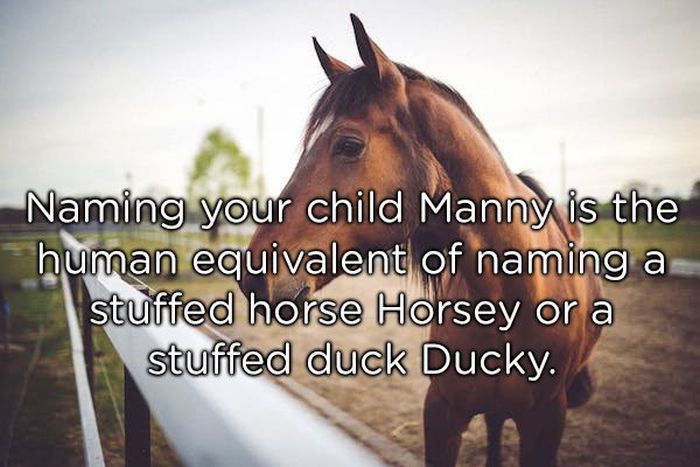 Shower Thoughts (20 pics)