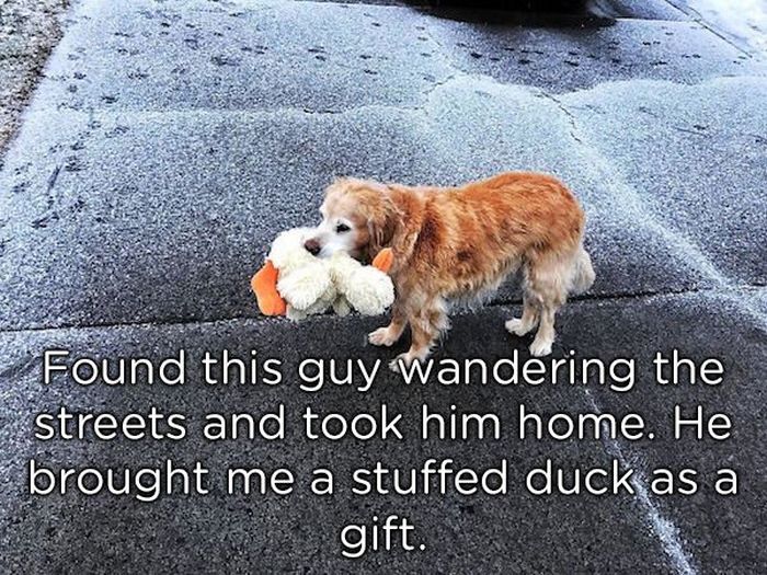Pets Bring Gifts (24 pics)
