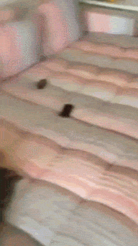 Funny Combine GIFs (17 gifs)