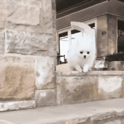 What Ordinary GIFs Look Like In Michael Bay’s Head (16 gifs)