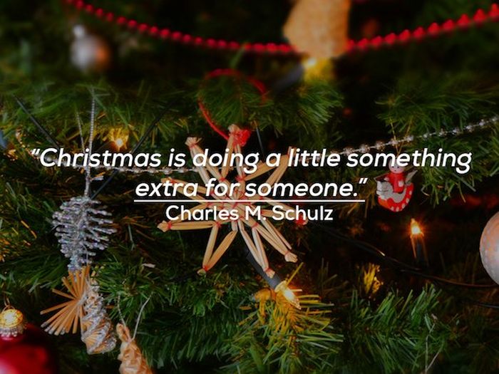 The True Meaning Of Christmas (17 pics)