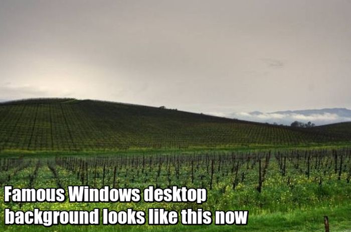 Believe Me, You Always Wanted To See These Things (17 pics)