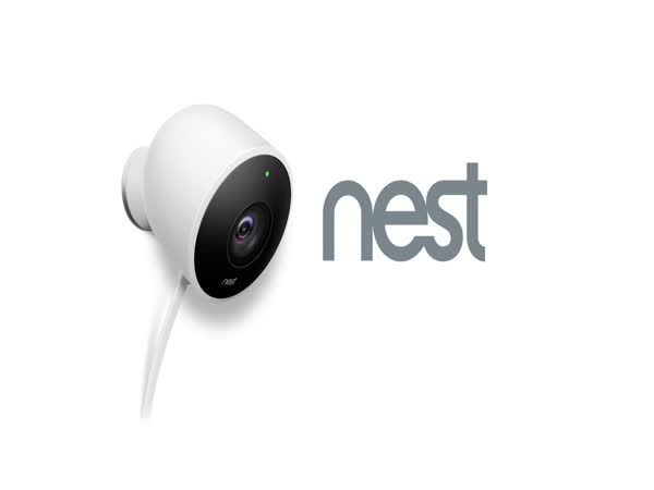 Nest Cam - Turkey Break-in