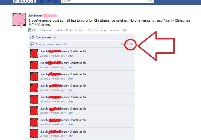 Funny Christmas Posts On Facebook (29 pics)
